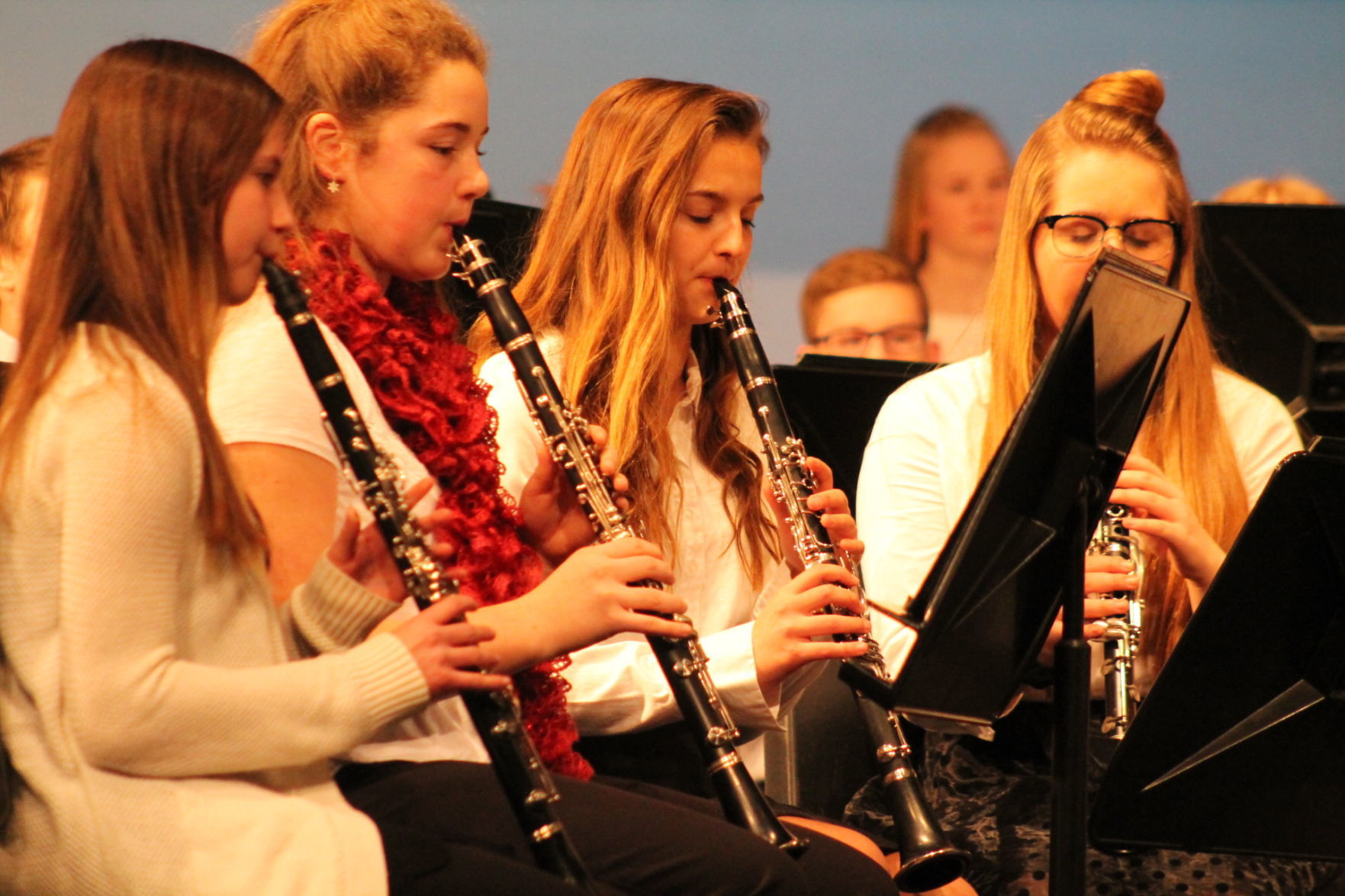 BDHS bands 003.JPG